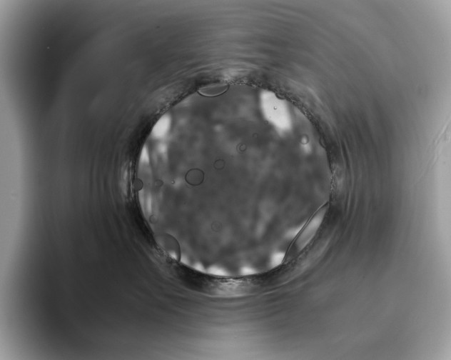 X0000095540527200801111436