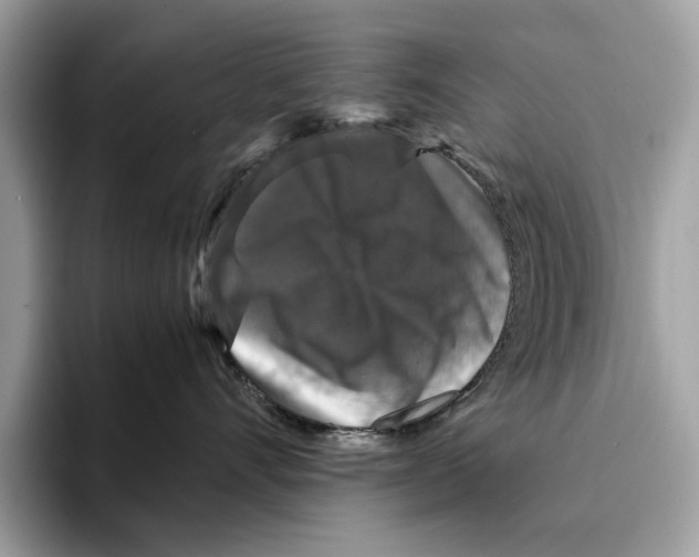 X0000095540528200801111435