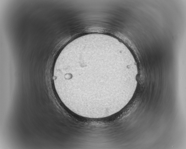 X0000095540529200801111435