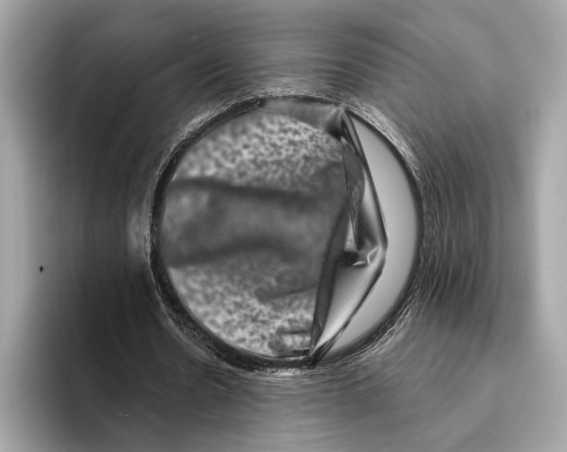 X0000095540530200801111435