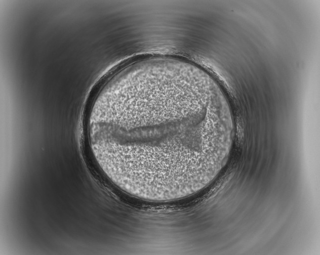 X0000095540532200801111435