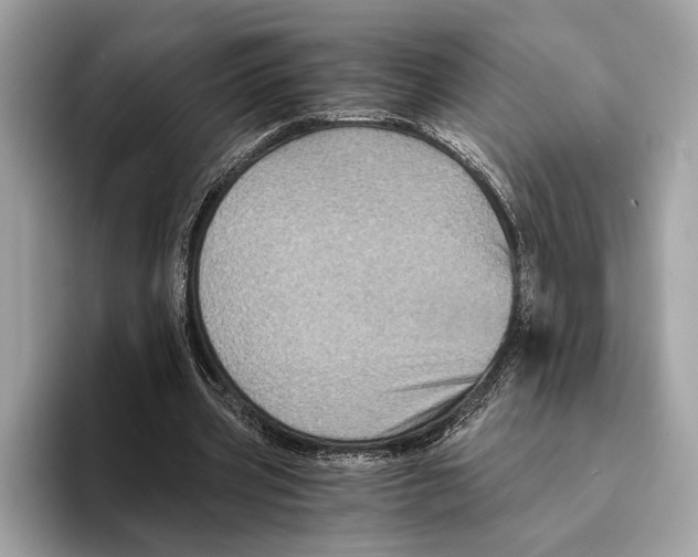 X0000095540533200801111435