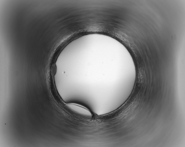 X0000095540535200801111435