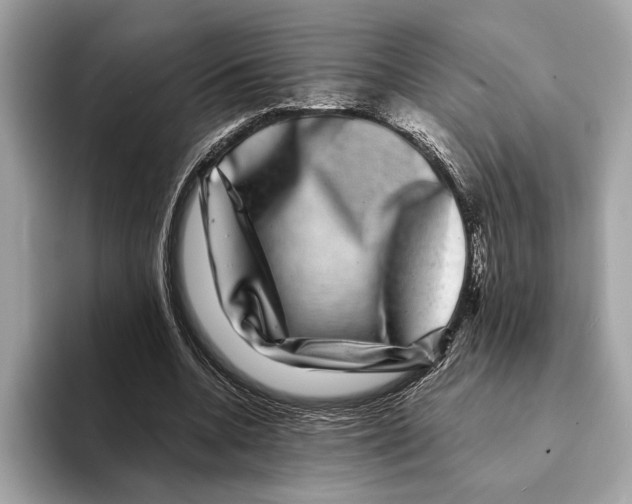 X0000095540536200801111435