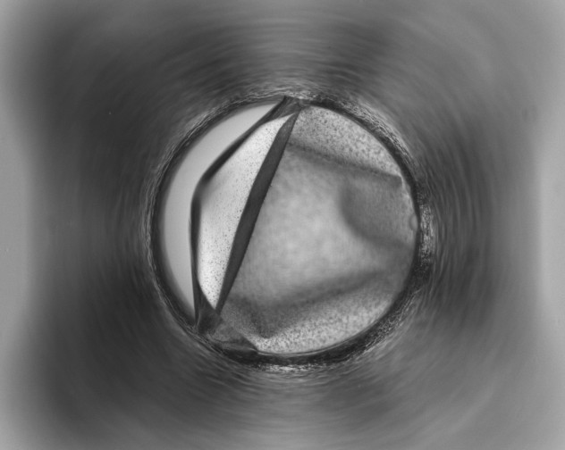 X0000095540538200801111435