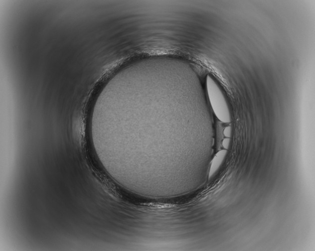 X0000095540539200801111435