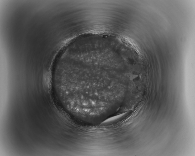 X0000095540540200801111435