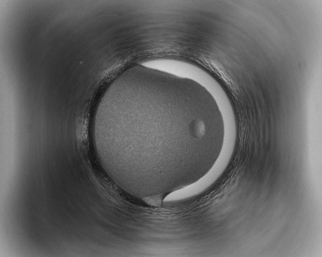 X0000095540543200801111435