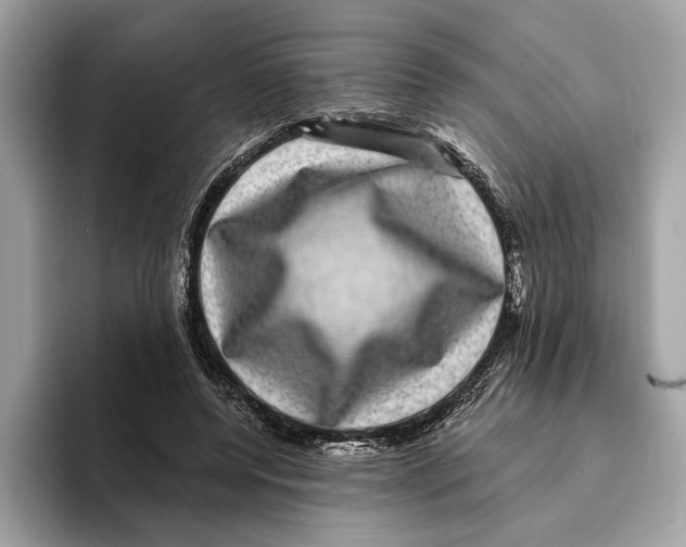 X0000095540544200801111435