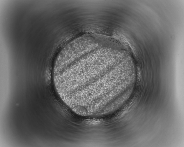 X0000095540545200801111435