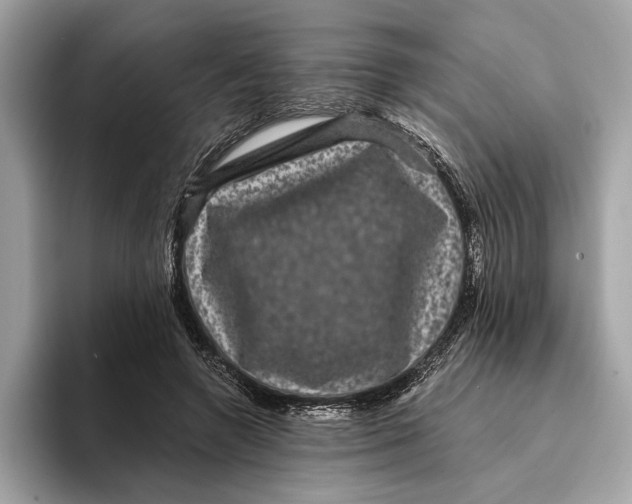 X0000095540546200801111435