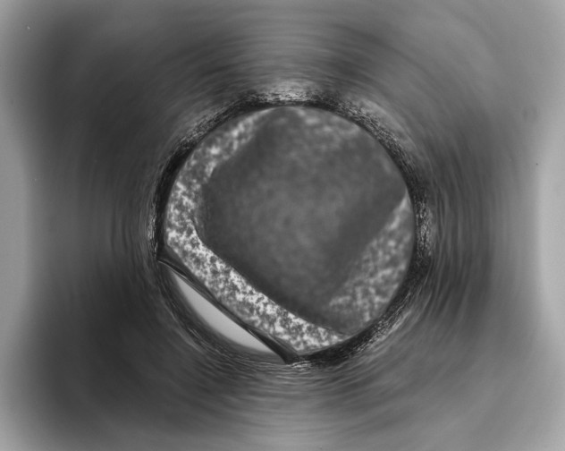 X0000095540548200801111435