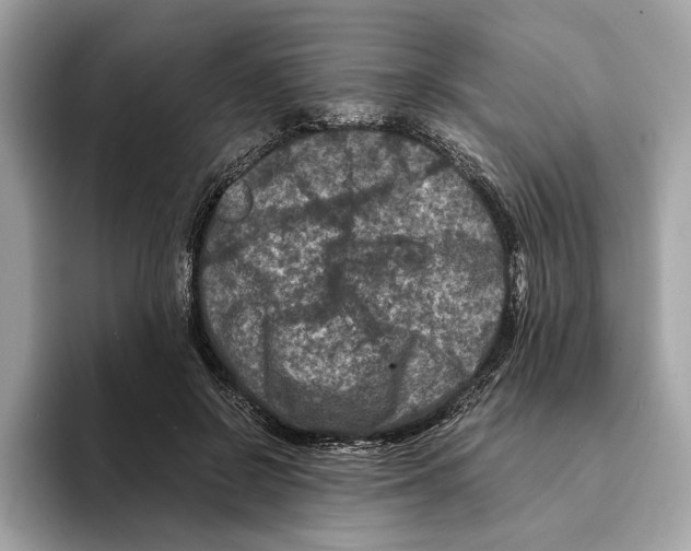 X0000095540550200801111435