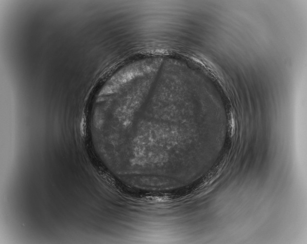 X0000095540552200801111435