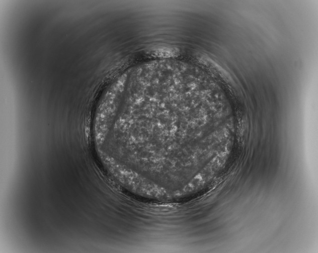 X0000095540553200801111435