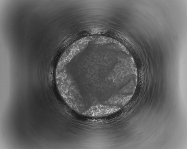 X0000095540554200801111435