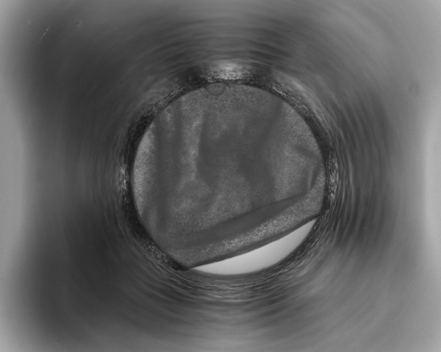 X0000095540555200801111435