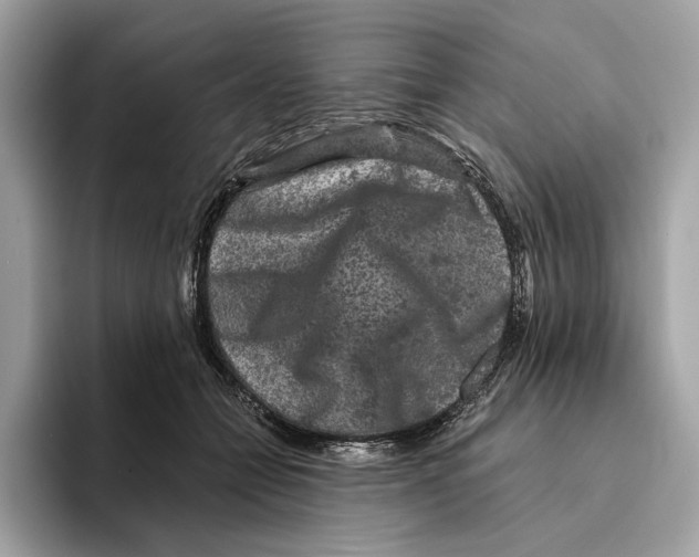 X0000095540558200801111435