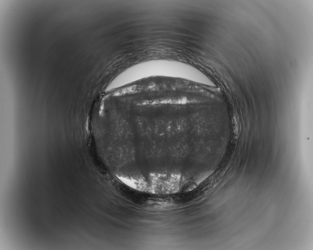 X0000095540559200801111435