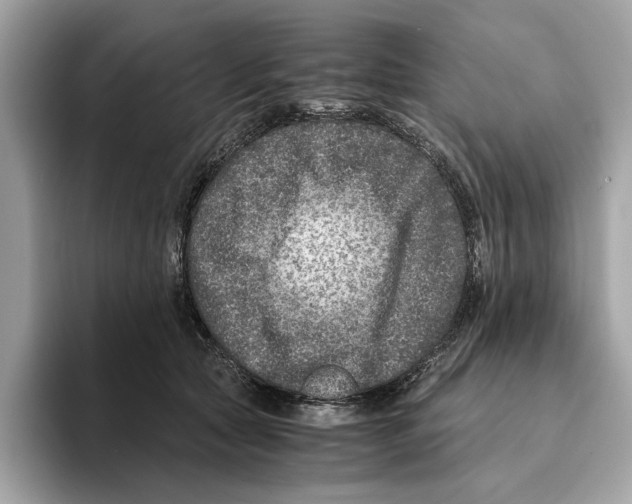 X0000095540561200801111435