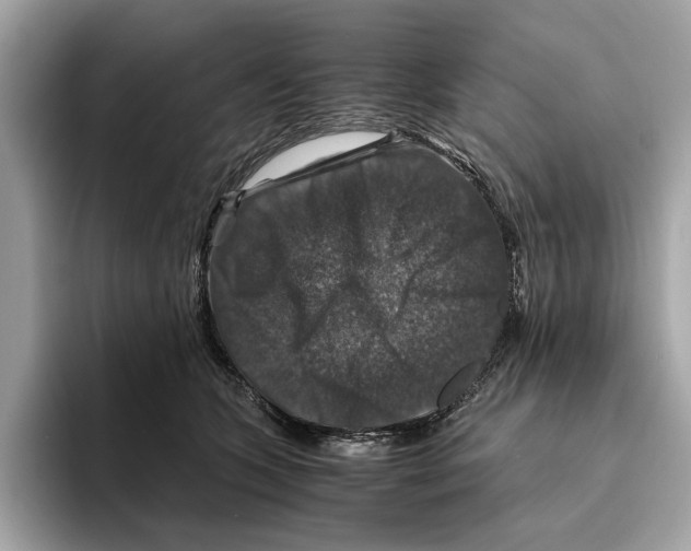 X0000095540563200801111435