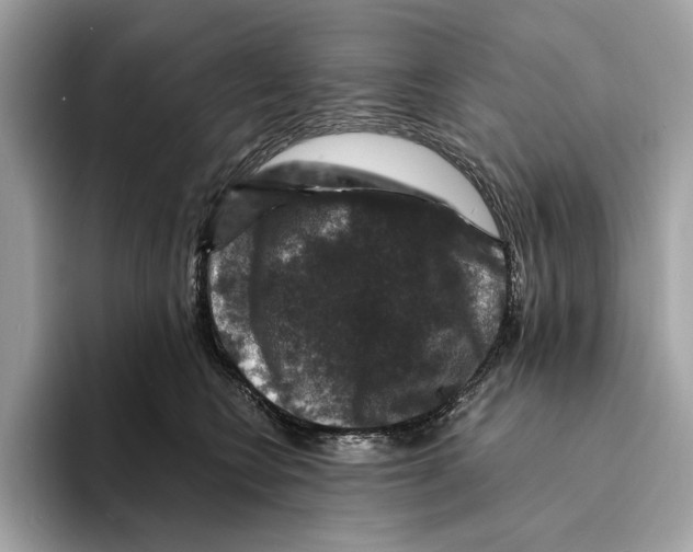 X0000095540566200801111435