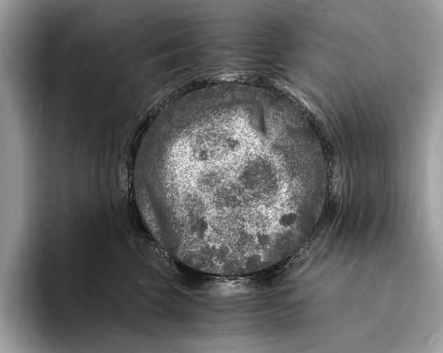 X0000095540569200801111435