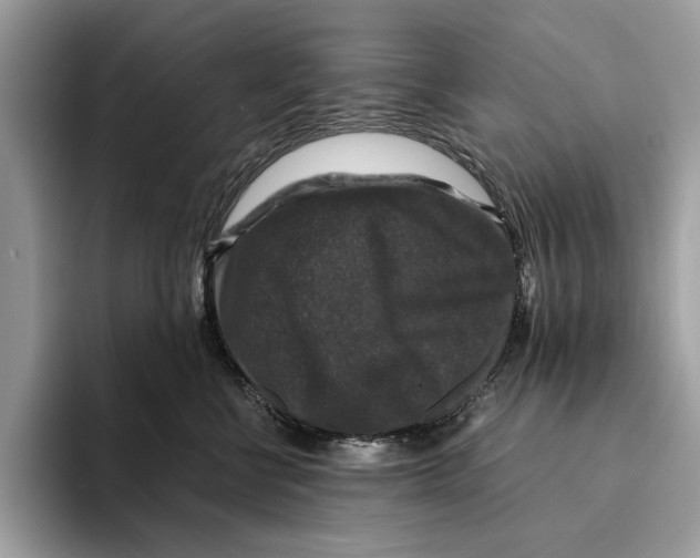 X0000095540570200801111435