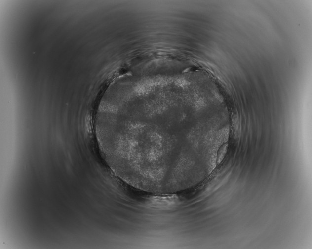 X0000095540571200801111435