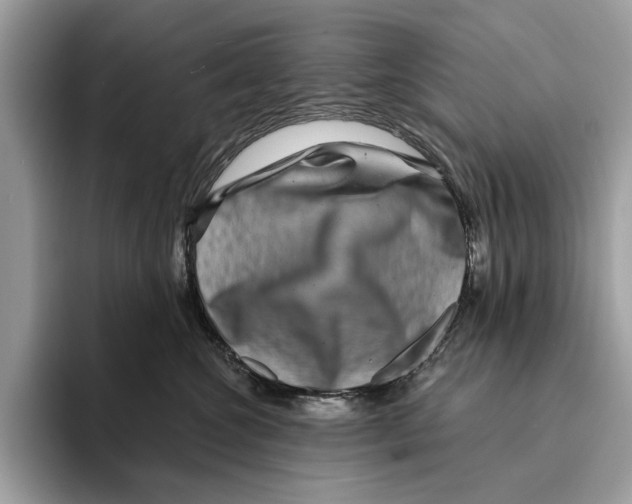 X0000095540572200801111435