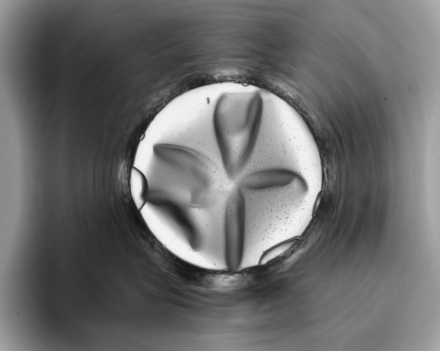 X0000095540575200801111435