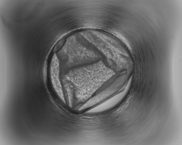 X0000095540580200801111435