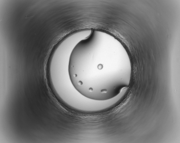 X0000095540581200801111435