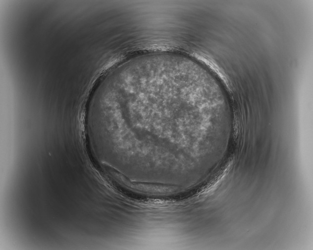 X0000095540585200801111435