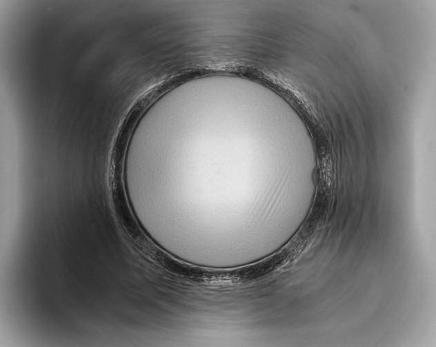 X0000095540587200801111435