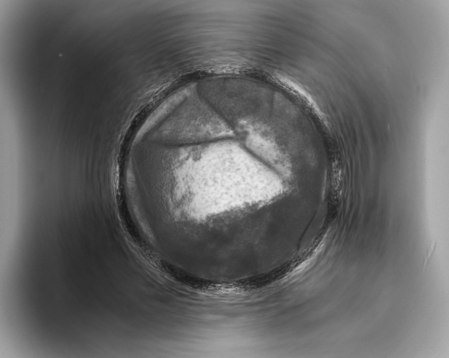 X0000095540589200801111435