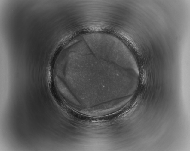 X0000095540590200801111435