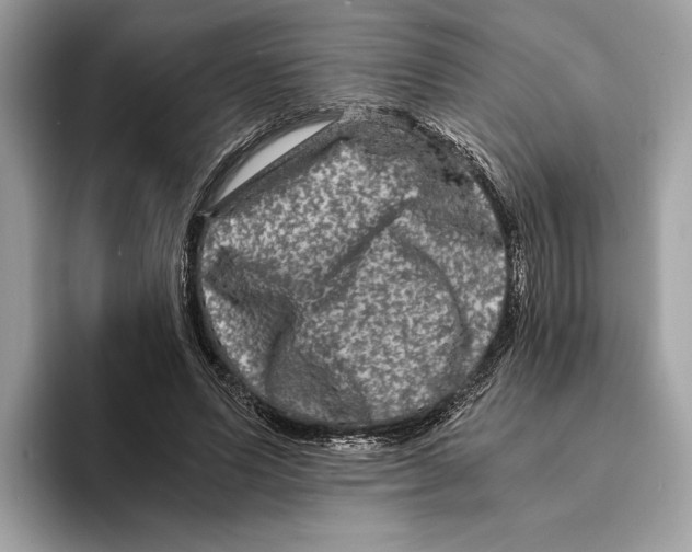 X0000095540591200801111435