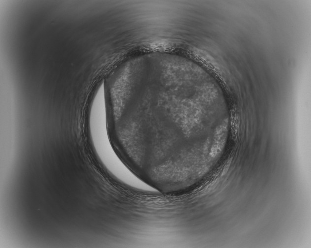 X0000095540593200801111435