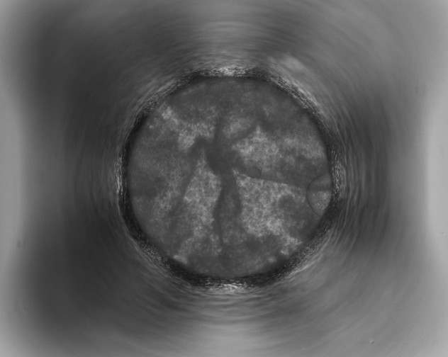 X0000095540594200801111435