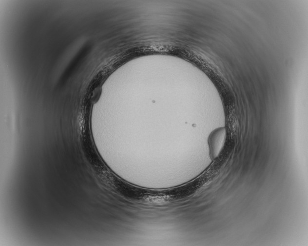 X0000095540595200801111435