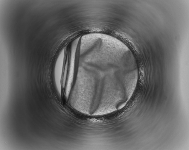 X0000095540596200801111435