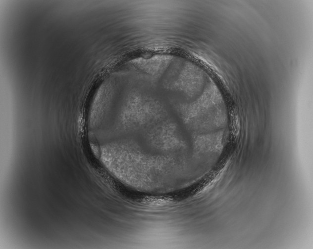 X0000095540597200801111435