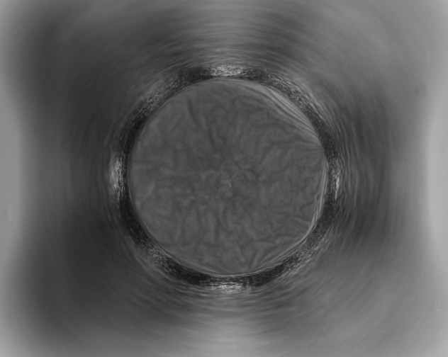 X0000095540598200801111435