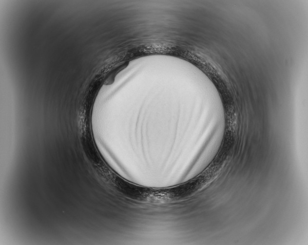 X0000095540599200801111435