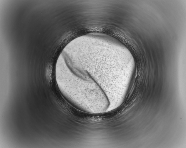 X0000095540600200801111435