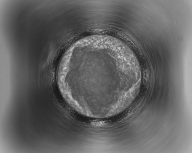 X0000095540602200801111435