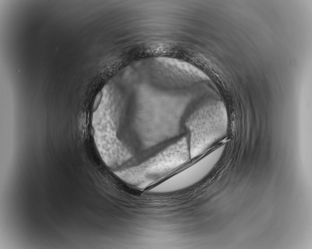 X0000095540605200801111434