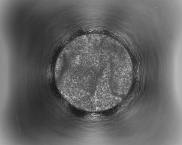 X0000095540607200801111434