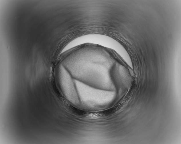 X0000095540611200801111434